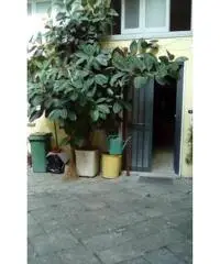 RifITI 027-SU935 - Magazzino in Affitto a Sant'Antimo di 50 mq