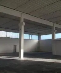 Affitto Capannone da 1400mq Affitto Capannone da 1400mq