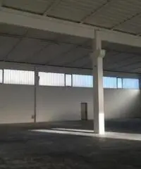 Affitto Capannone da 1400mq Affitto Capannone da 1400mq