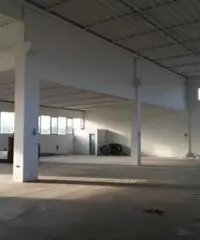 Affitto Capannone da 1400mq Affitto Capannone da 1400mq