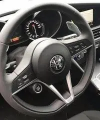 Alfa Romeo Giulia Alfa Romeo Giulia 2.2 diesel 16V 110kW AT8