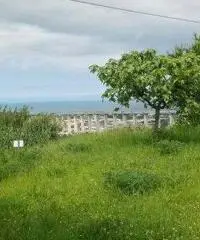 Mosciano SantAngelo: Terreno Altro