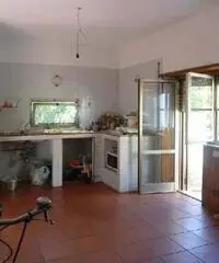 Nettuno: Villa 5 Locali o piu