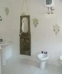 Nettuno: Villa 5 Locali o piu