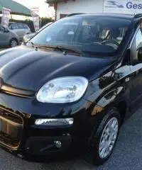 FIAT Panda 1.2 Lounge km 5500 rif. 7175589 FIAT Panda 1.2 Lounge km 5500 rif. 7175589