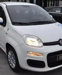 FIAT Panda 1.2 Pandazzurri NUOVA - PREZZO PROMO!!! rif. 7189506 FIAT Panda 1.2 Pandazzurri NUOVA - PREZZO PROMO!!! rif. 7189506