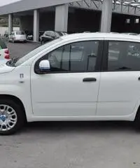 FIAT Panda 1.2 Pandazzurri NUOVA - PREZZO PROMO!!! rif. 7189506 FIAT Panda 1.2 Pandazzurri NUOVA - PREZZO PROMO!!! rif. 7189506