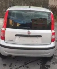 FIAT Panda 1.2 Dynamic Eco rif. 7191139