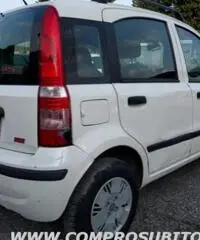 FIAT Panda 1.2 Dynamic rif. 7196110