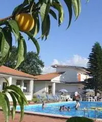 PRAIA A MARE AFFITTASI