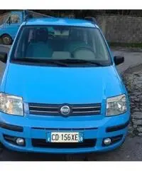FIAT Panda 1.2 Dynamic rif. 7162248