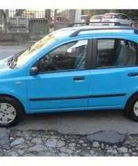 FIAT Panda 1.2 Dynamic rif. 7162248