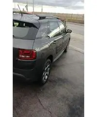 C4 cactus permuto