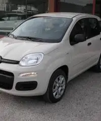 FIAT Panda 1.2 Easy rif. 5989996
