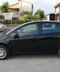 FIAT Punto 1.2 8V 5 porte Street rif. 5990008