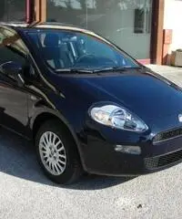 FIAT Punto 1.4 8V 5 porte Easypower Street rif. 5980227
