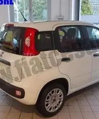 FIAT Panda 1.2 Easy rif. 7012439