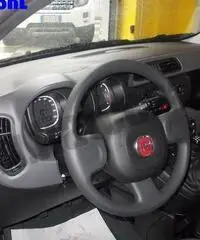 FIAT Panda 1.2 Easy rif. 7012439
