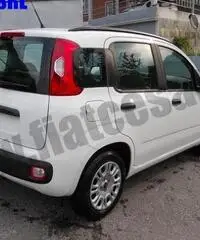 FIAT Panda 1.2 EasyPower Easy rif. 6558608
