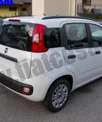 FIAT Panda 1.2 EasyPower Easy rif. 6828482