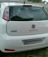 FIAT Punto 1.4 8V 5 porte Natural Power Easy rif. 7150739