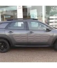 cactus Km0 cactus Km0