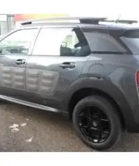 cactus Km0 cactus Km0