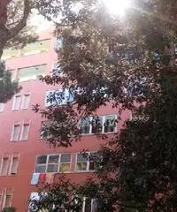 Appartamento in Vendita di 45mq Appartamento in Vendita di 45mq