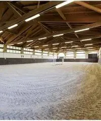 Centro ippico scuderia cavalli Centro ippico scuderia cavalli