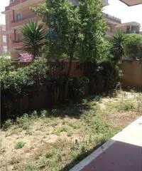 Ardea Vendita Appartamento