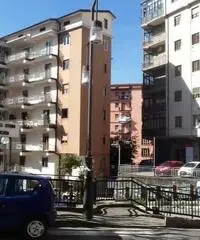 Locale commerciale in Affitto a 330