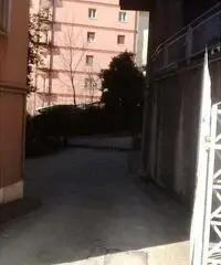 Locale commerciale in Affitto a 330