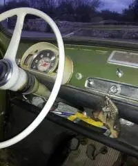 Fiat 600 D