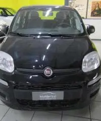 FIAT Panda 1.2 Easy rif. 7196249