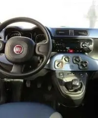 FIAT Panda 1.2 Lounge rif. 7193105