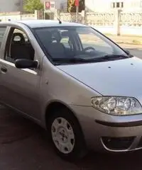 FIAT Punto 1.2 5 porte Active Natural Power rif. 7196884