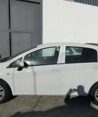 FIAT Punto 1.3 MJT II S&S 95 CV 5 porte Lounge rif. 7193110