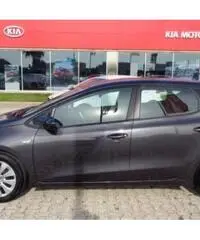 KIA ceed cee'd 1.6 CRDi 110 CV 5 porte Active KIA ceed cee'd 1.6 CRDi 110 CV 5 porte Active