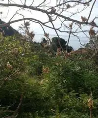 Maratea: Villa 4 Locali