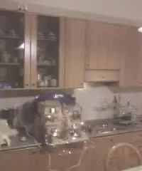 Matera Vendita Appartamento