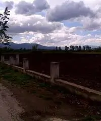 Terreno in Vendita 10000mq Terreno in Vendita 10000mq