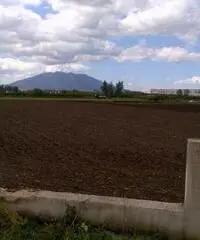Terreno in Vendita 10000mq
