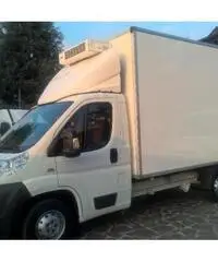 IVECO Daily FRIGO CON DIVISORIO
