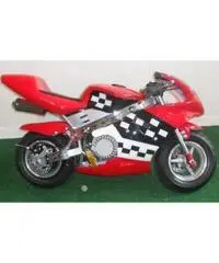 MINIMOTO GP1 49 cc