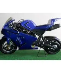 MINIMOTO GP2 49cc