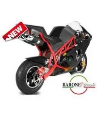 Minimoto GP Trofeo 50 cc