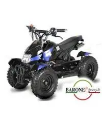 Miniquad Cobra 50cc E-Start R6