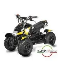 Miniquad Cobra 50cc E-Start R6