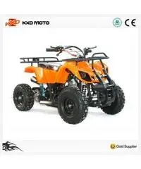 Mini Quad Hummer R6