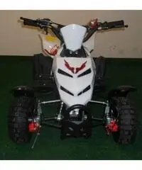 MINIQUAD RAPTOR 49cc R4